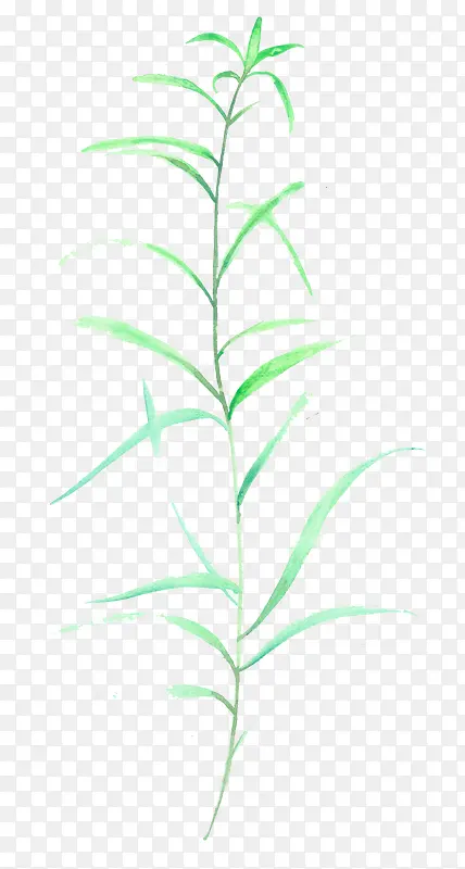 绿色青草