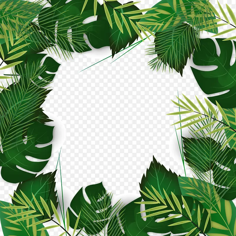 矢量植物树叶PNG图片素材下载_图片编号yvvwbgev-免抠素材网