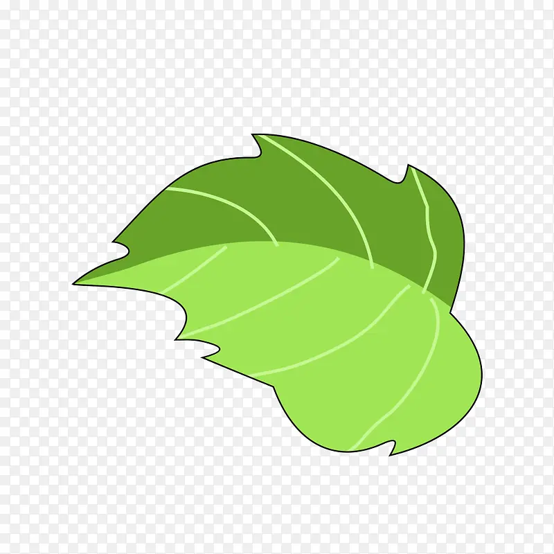 手绘树叶