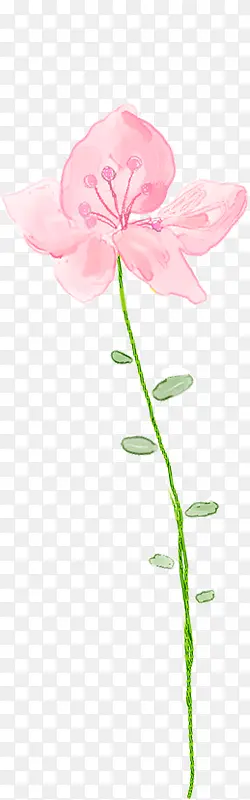 粉色花朵图形设计