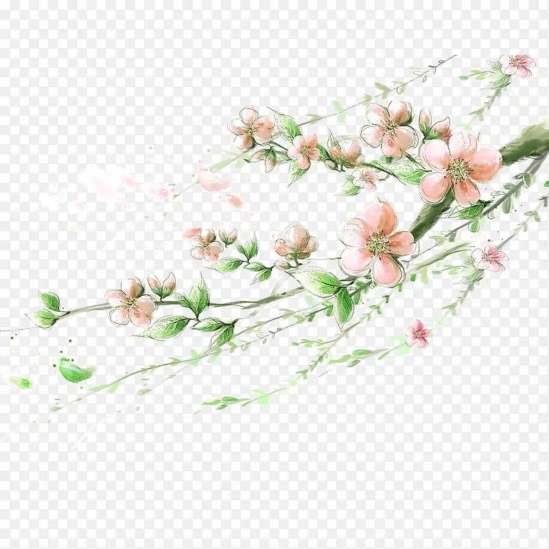 花 粉色花 淡雅