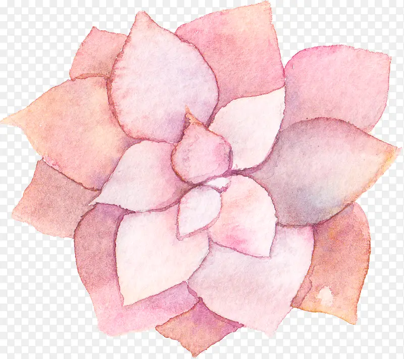 水彩手绘粉色花朵