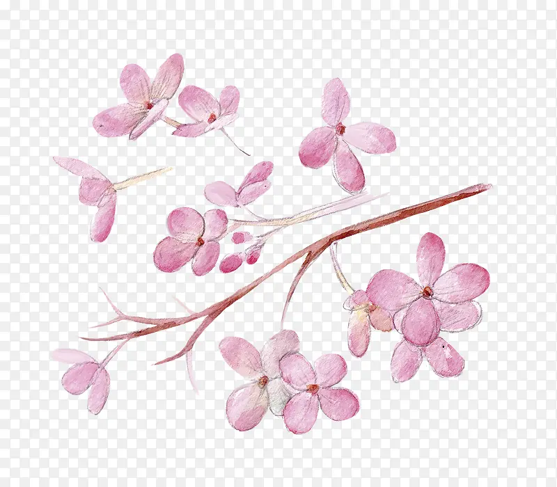 手绘的粉色花