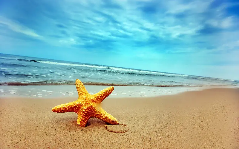 海滩上的五角星唯美素材