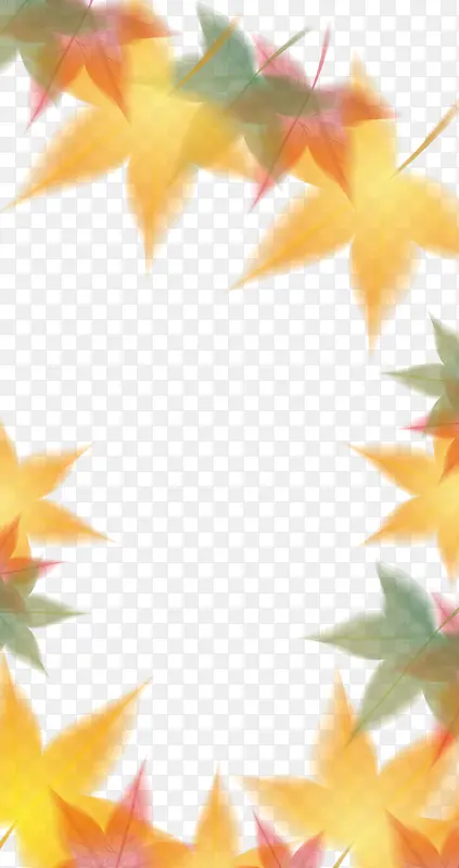秋天枫叶