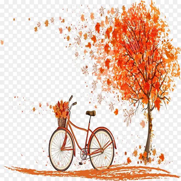 单车和落叶