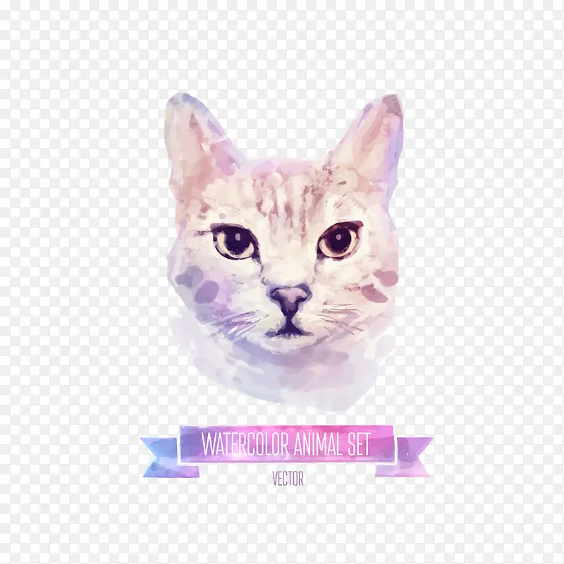 水彩猫