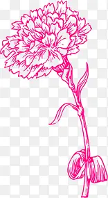 粉色温馨手绘花朵康乃馨