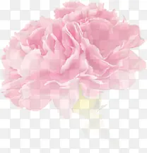 粉色温馨花朵装饰节日