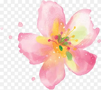 绘画粉色花朵海报