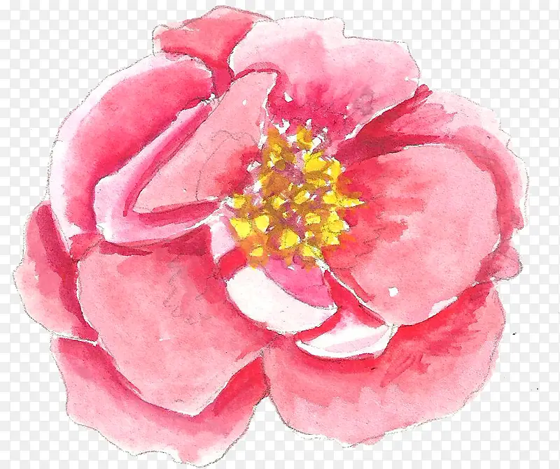 手绘水彩花朵植物粉色