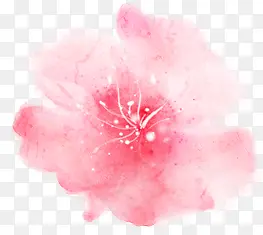 春天粉色水彩花朵