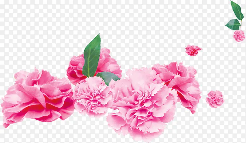 文艺清新粉色花朵