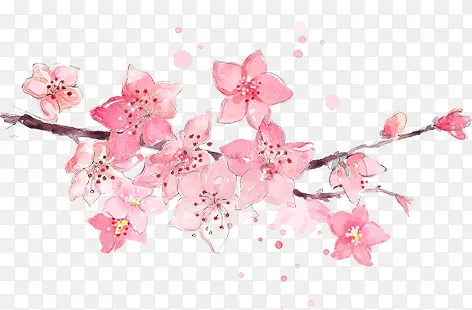 春天古风粉色花朵树枝