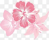 粉色梦幻花朵植物手绘
