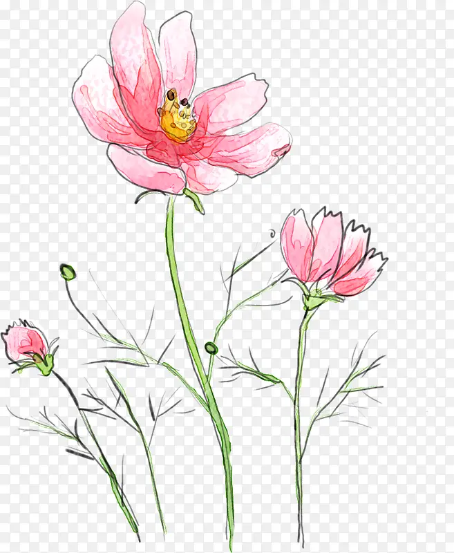 手绘粉色水墨花朵植物