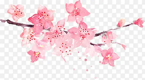 春天古风粉色花朵装饰