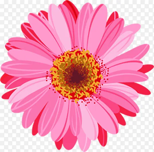 粉色彩绘可爱花朵