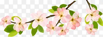 粉色春天花朵美景装饰