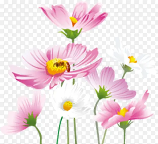温馨粉色水彩花朵