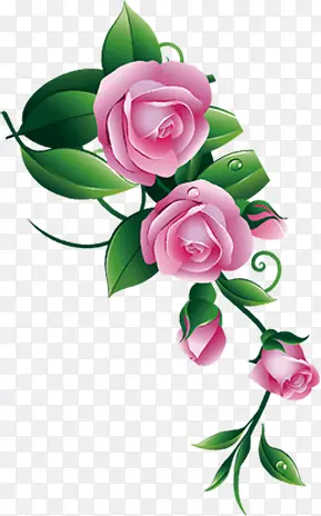 粉色新鲜花朵玫瑰