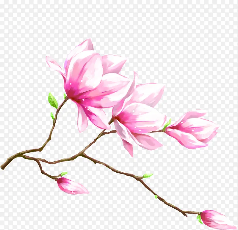 粉色美景手绘花朵