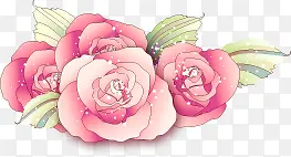 粉色手绘典雅花朵植物