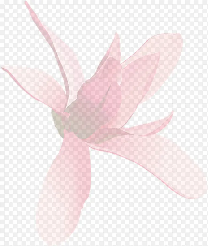 粉色手绘线条花朵设计