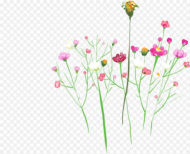 手绘粉色夏季花朵