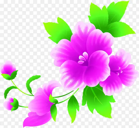粉色花朵绿叶植物