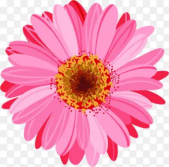 粉色手绘水彩花朵设计母亲节