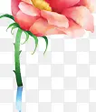 粉色高清花朵装饰
