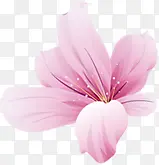 粉色手绘花朵海报装饰