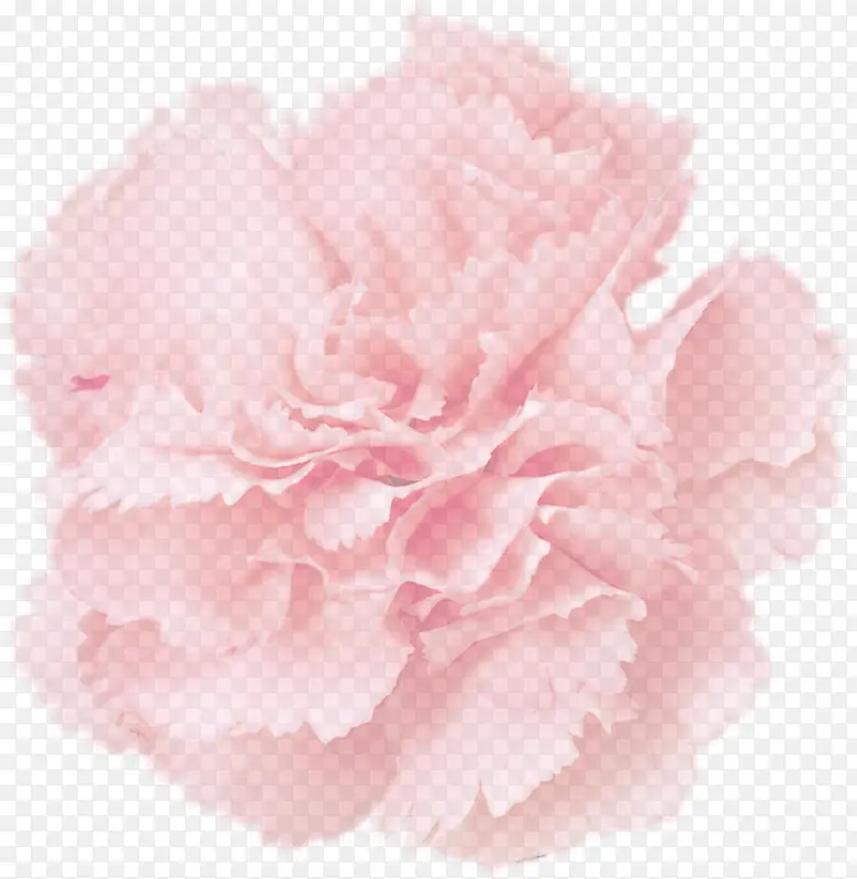 粉色温馨花朵美景装饰
