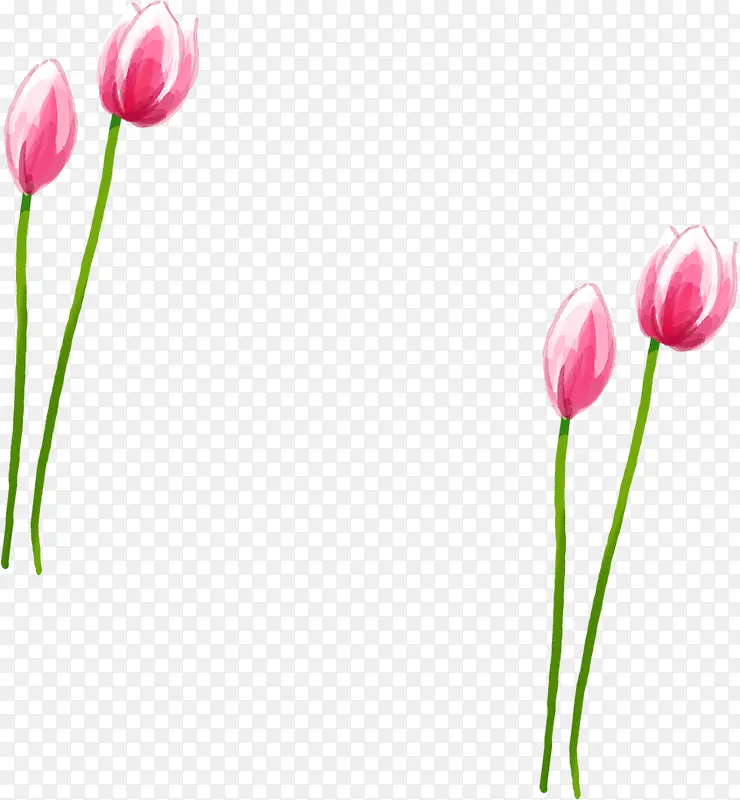 粉色美景花朵装饰春天