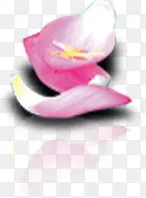 手绘漂浮粉色环保花朵