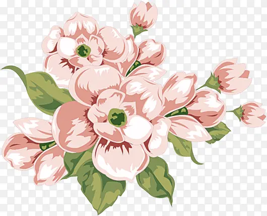 粉色水彩花朵植物设计美丽