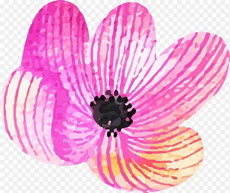 手绘水彩花粉色