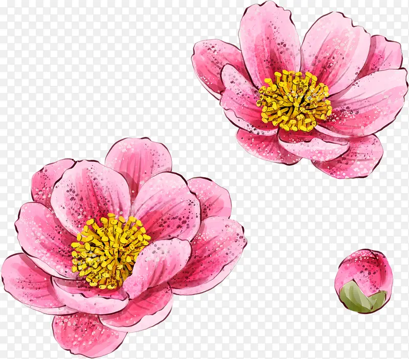 手绘水彩粉色花朵植物