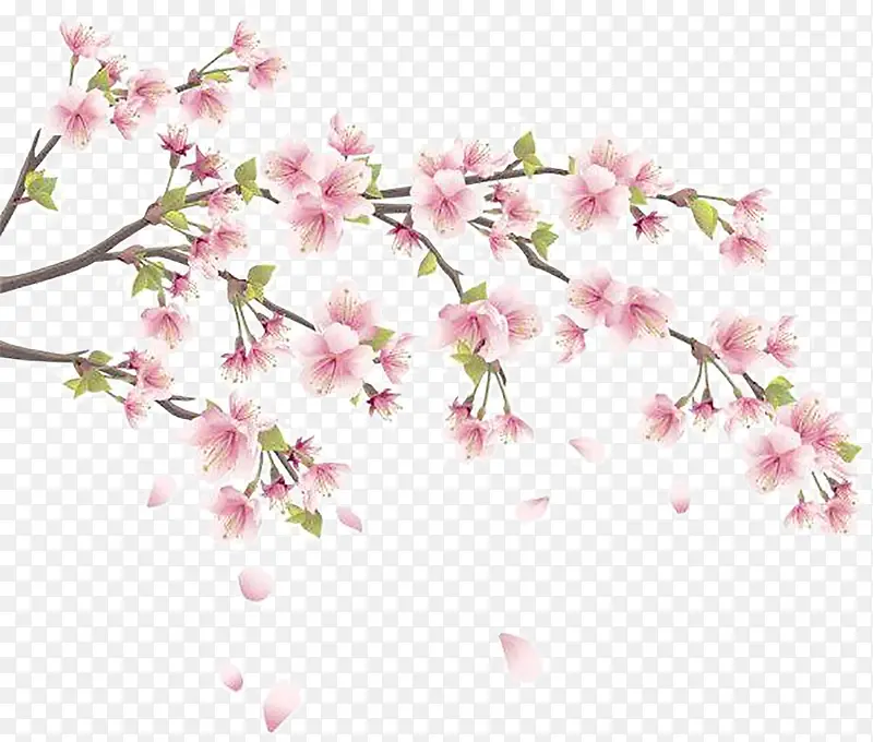 设计海报粉色花朵树枝