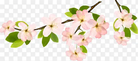 粉色艺术春天花朵