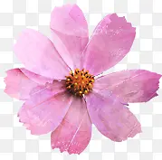 粉色文艺水彩复古花朵