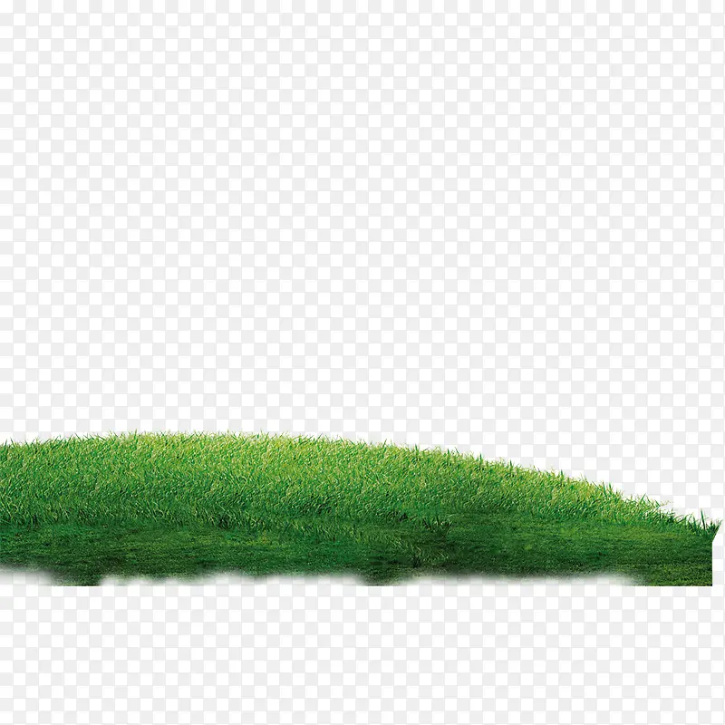 草地