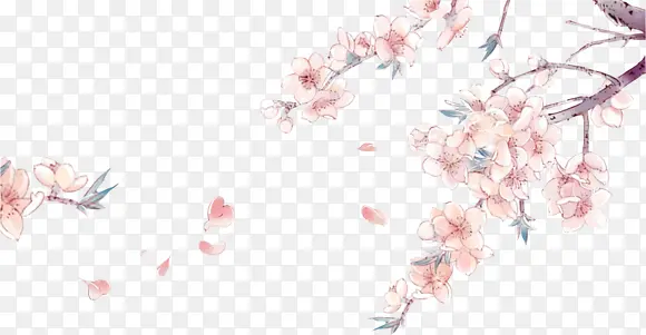 粉色漂浮花朵植物手绘