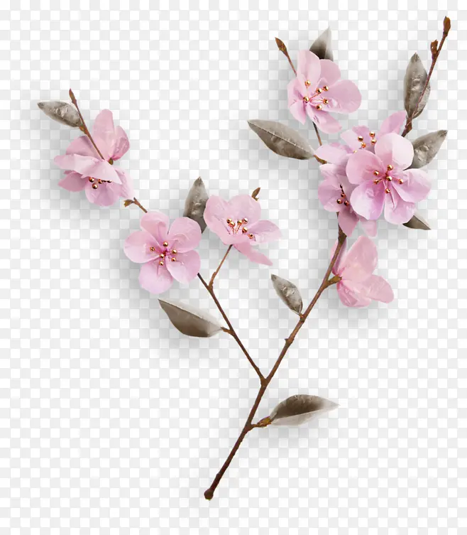 粉色个性设计花朵