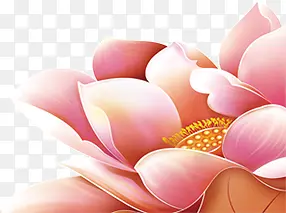 粉色中秋奢华花朵