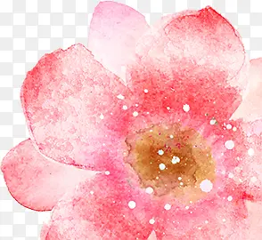 手绘浪漫粉色花朵