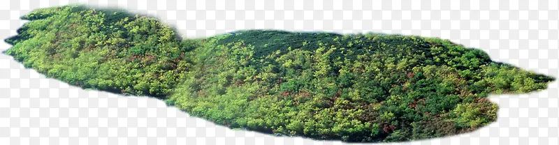 绿地景观效果美景