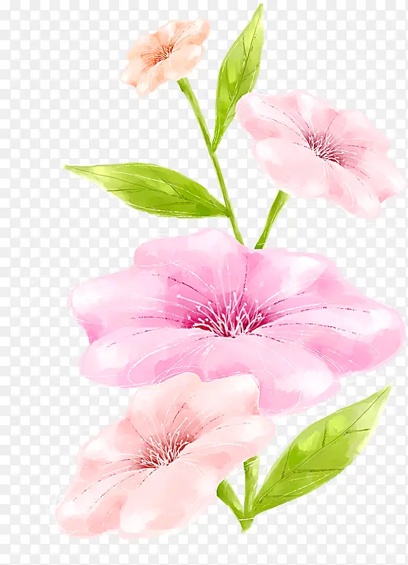粉色彩色水墨花朵