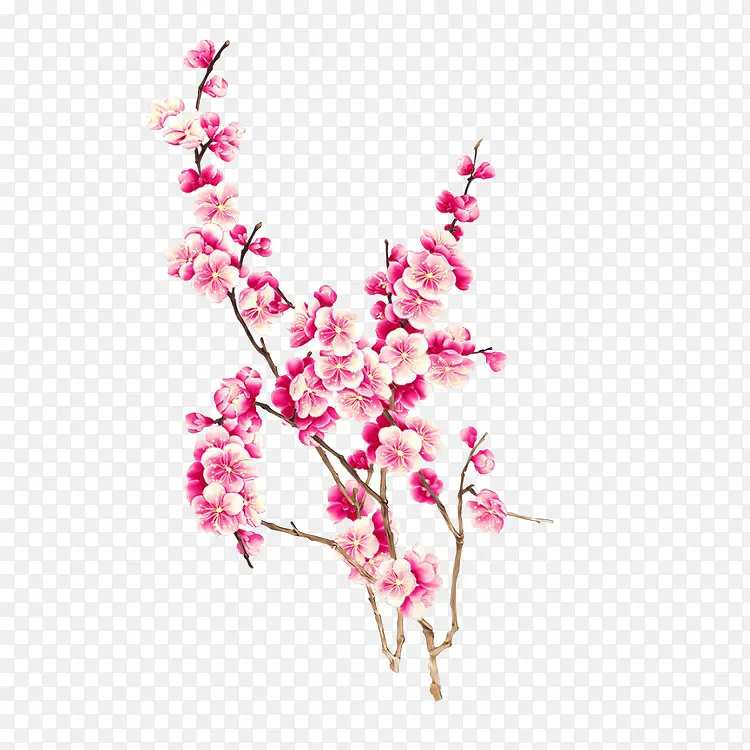 粉色花朵设计手绘
